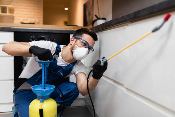 Best Affordable Pest Control Services  in Union Hill Novelty Hill, WA