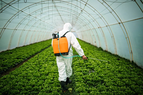 Best Cockroach Control Services  in Union Hill Novelty Hill, WA