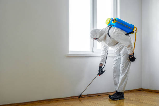 Best Flea Control Services  in Union Hill Novelty Hill, WA