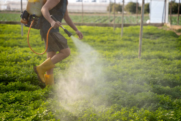 Best Pest Control Near Me  in Union Hill Novelty Hill, WA
