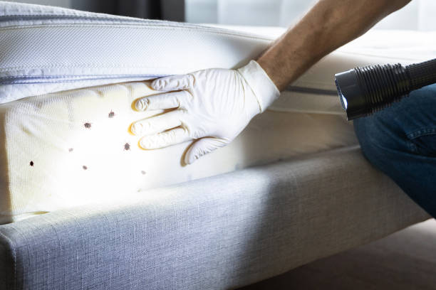 Best Pest Prevention Services  in Union Hill Novelty Hill, WA