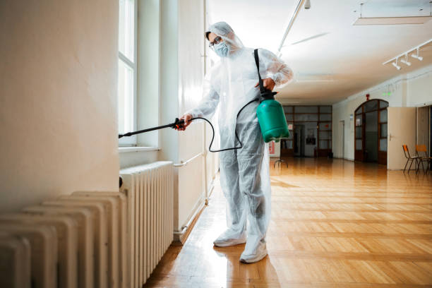 Best Termite Control Services  in Union Hill Novelty Hill, WA