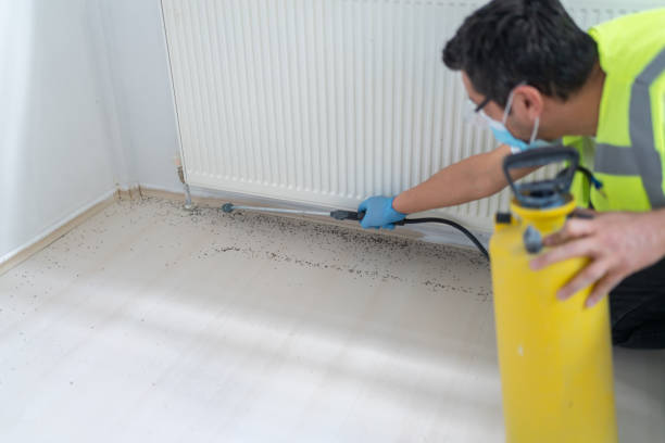 Wasp Removal Services in Union Hill Novelty Hill, WA