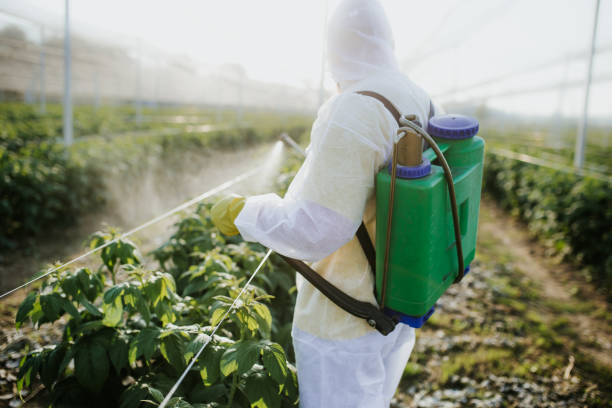Reliable Union Hill Novelty Hill, WA Pest Control Solutions